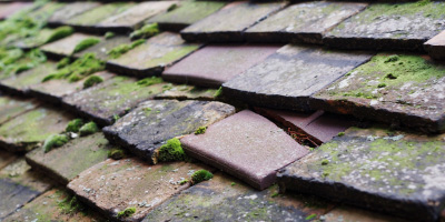 Netherton roof repair costs